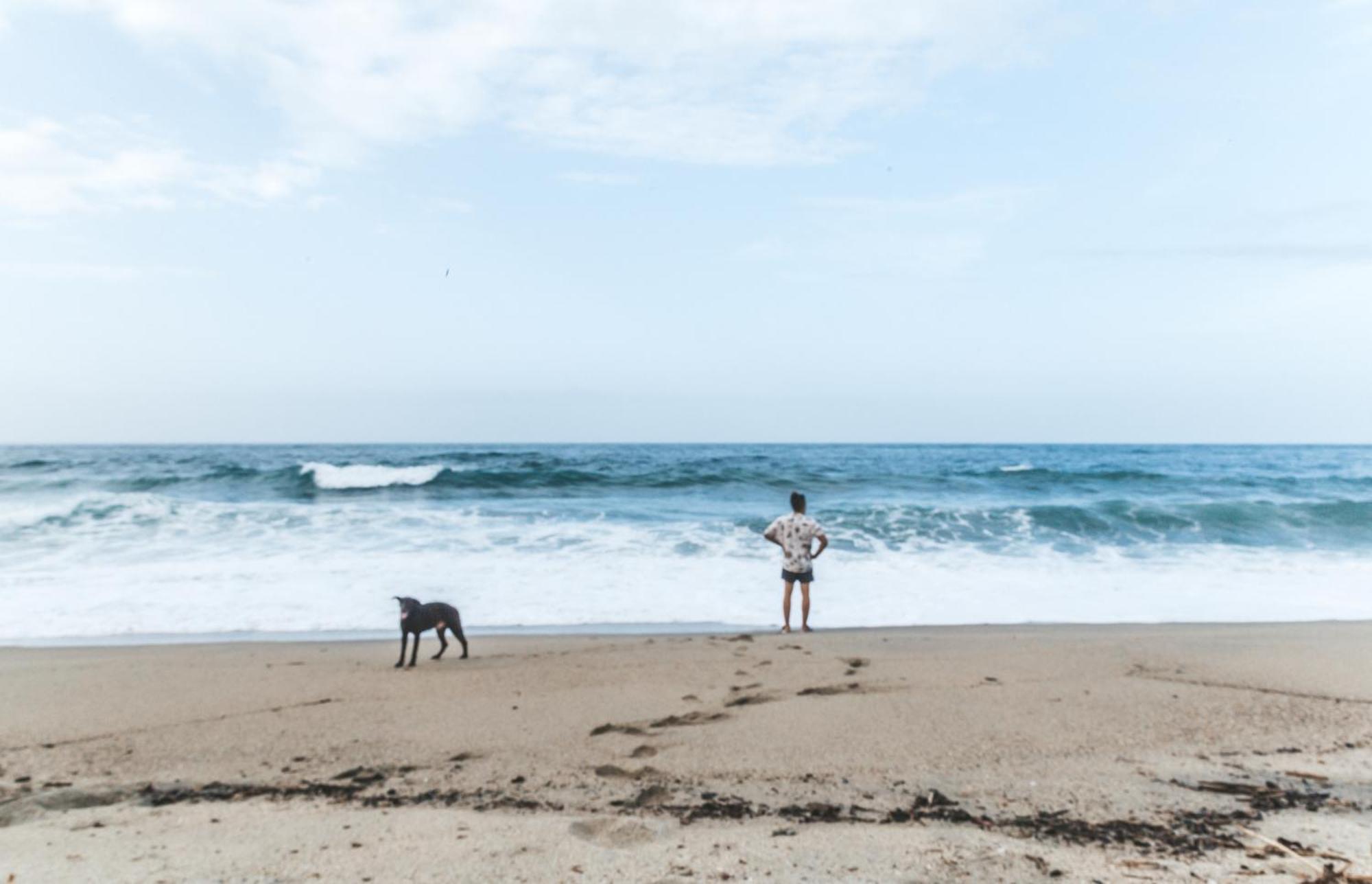 Cabana Wiwa Tayrona Лос-Наранхос Екстер'єр фото