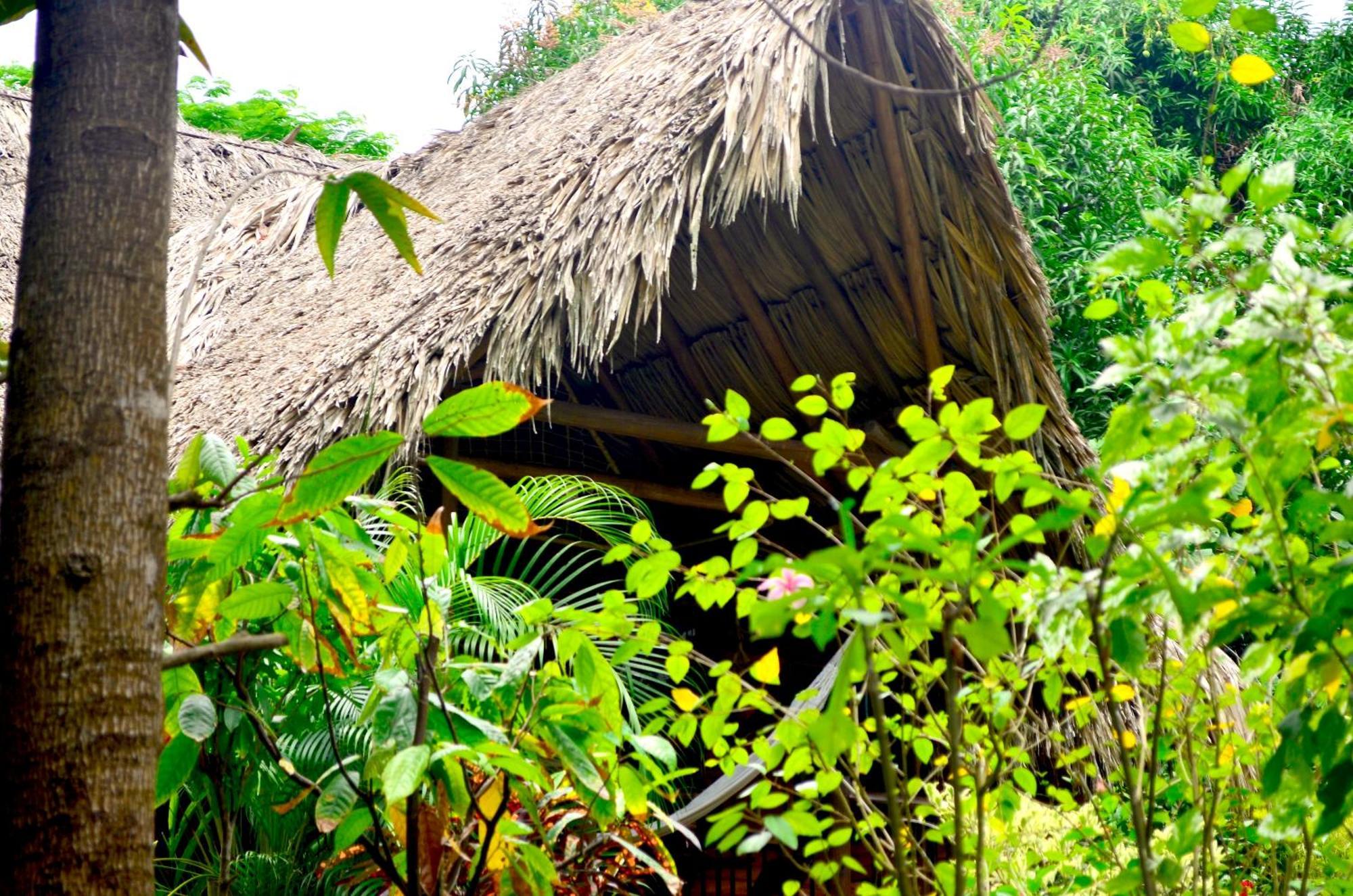 Cabana Wiwa Tayrona Лос-Наранхос Екстер'єр фото