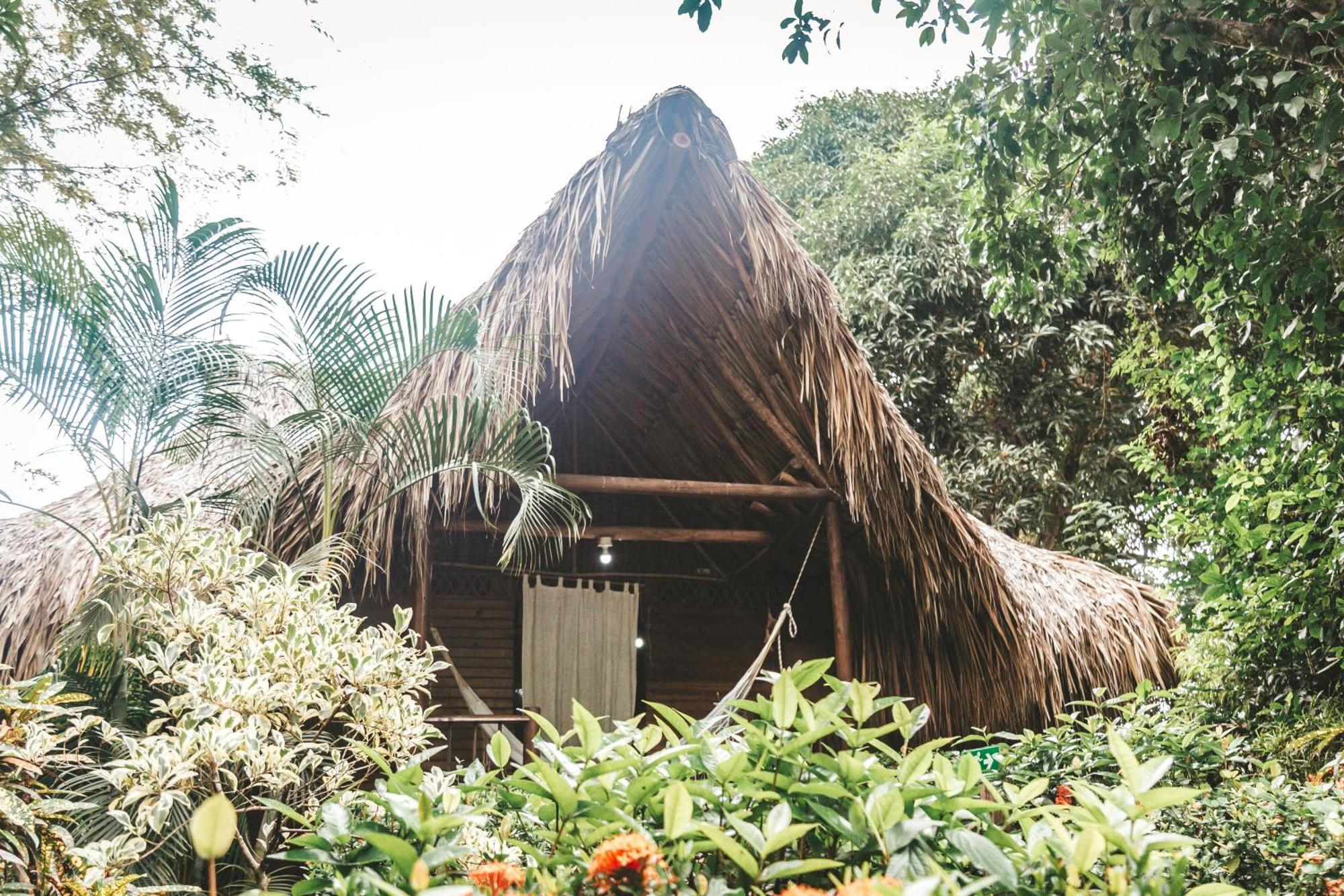 Cabana Wiwa Tayrona Лос-Наранхос Екстер'єр фото