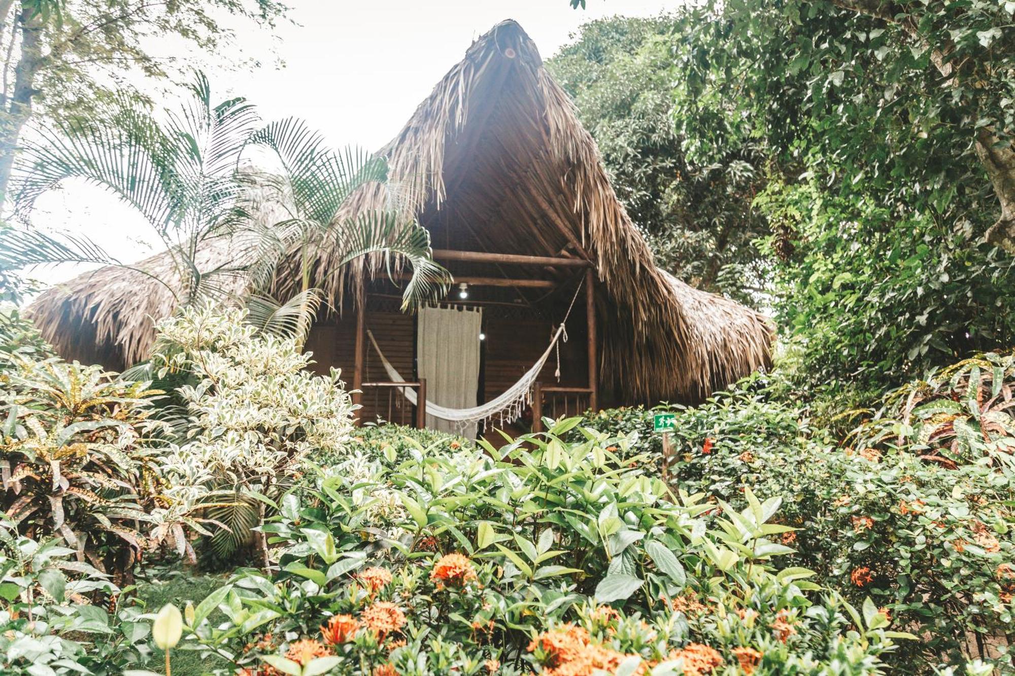 Cabana Wiwa Tayrona Лос-Наранхос Екстер'єр фото